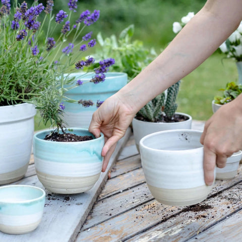 Coastal Planter Small - Aqua