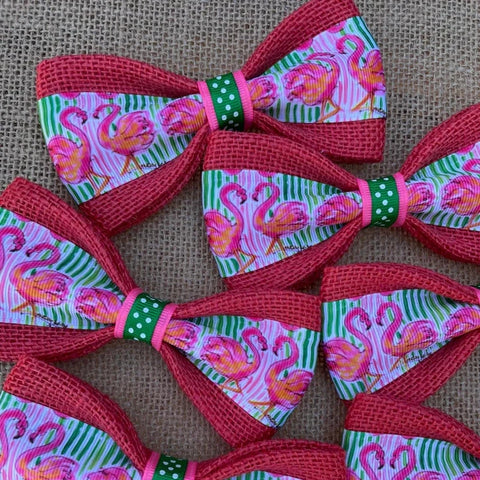 Pet Accessories