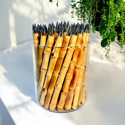 Never Ending Bamboo Pencil - Original Modern